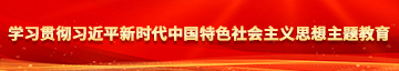 免费观看插逼视频网站学习贯彻习近平新时代中国特色社会主义思想主题教育